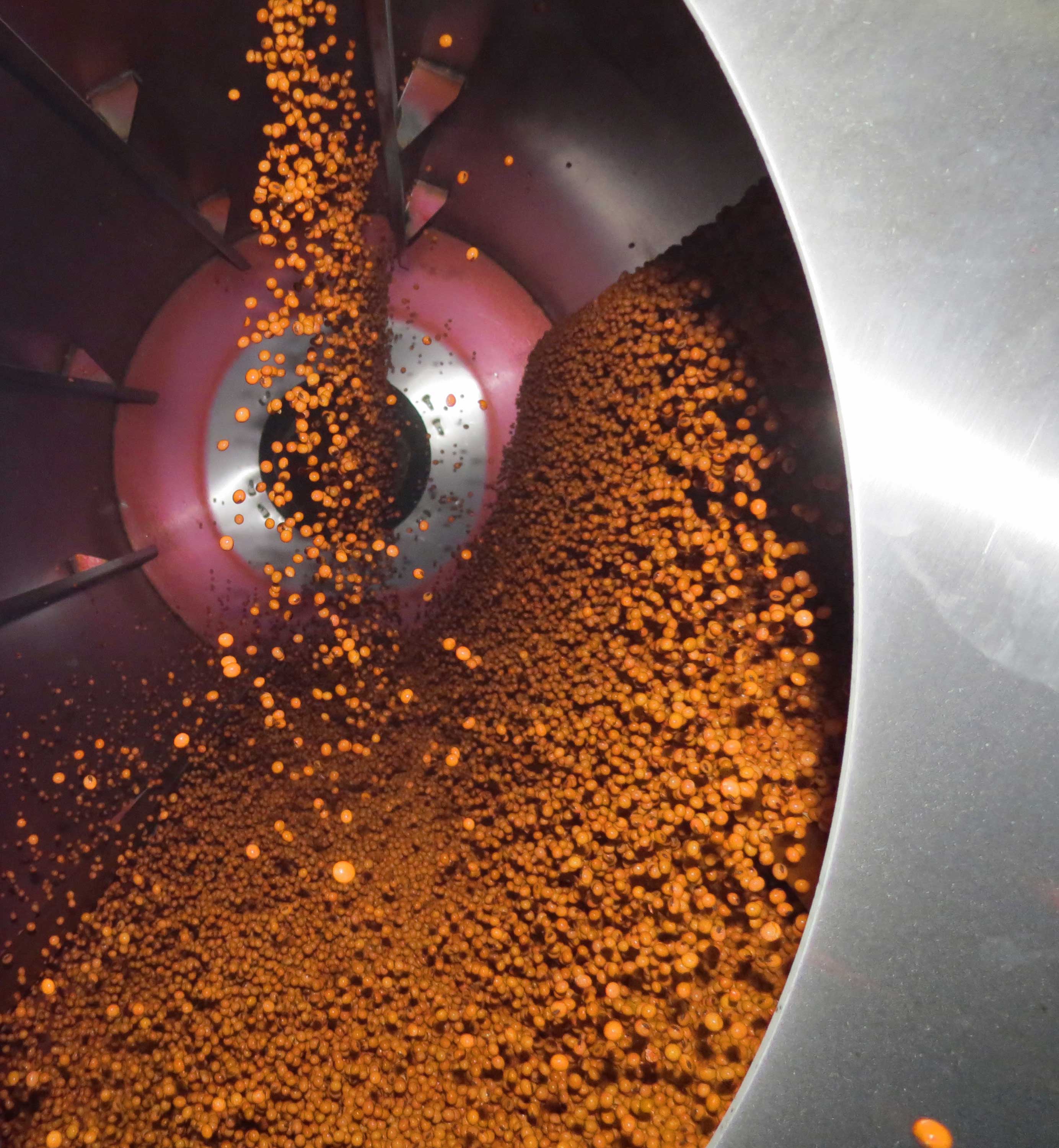 drum treating seed
