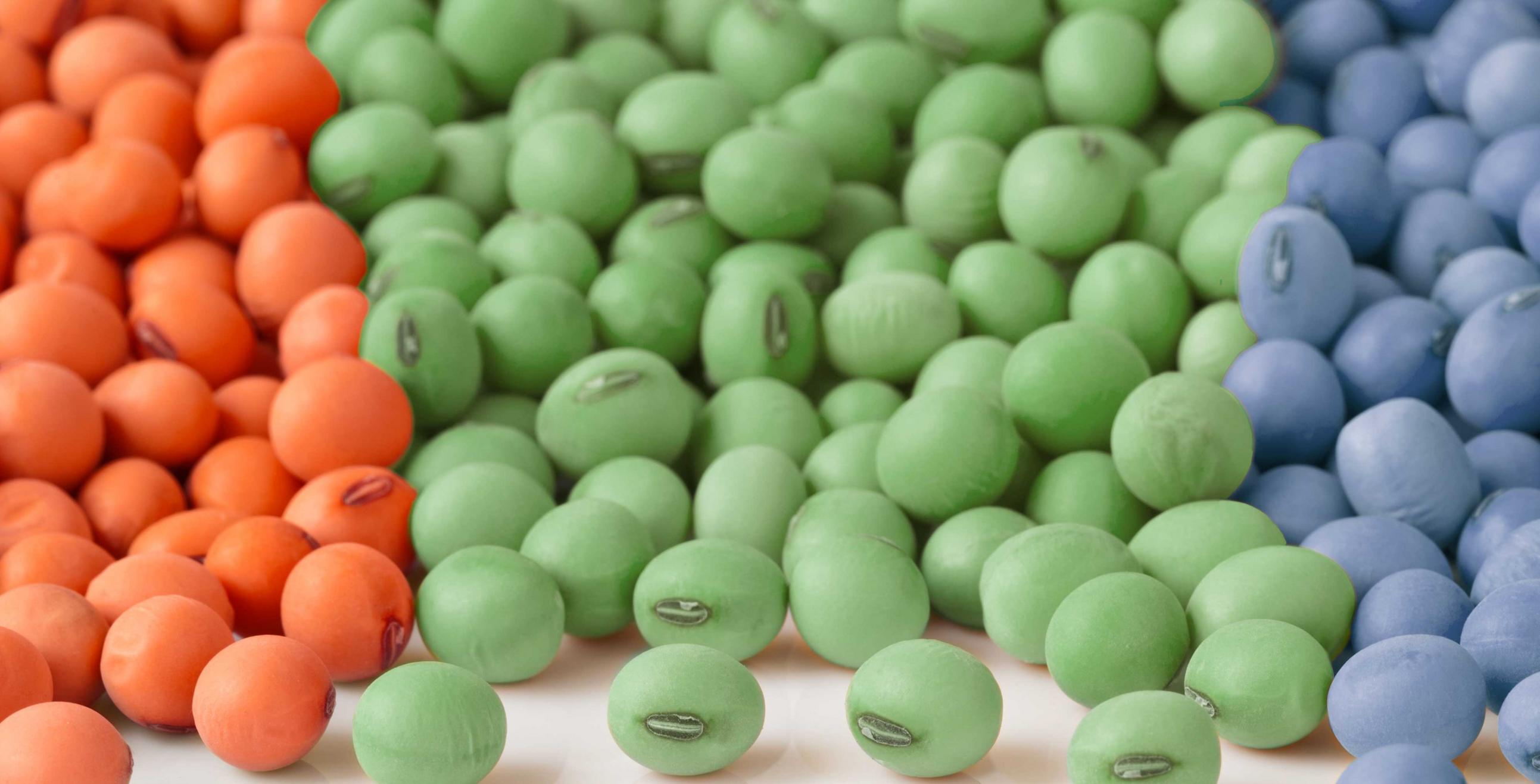 Red, green, and blue soybeans