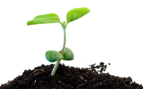 Treating trends seed treaters