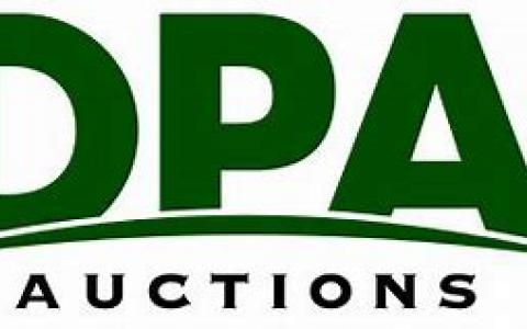 DPA Auction Logo