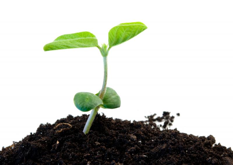Treating trends seed treaters